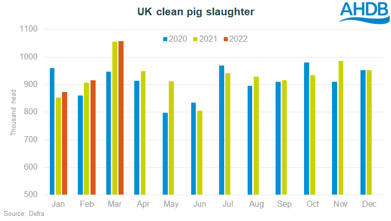 Chart showing UK clean pig slaughter